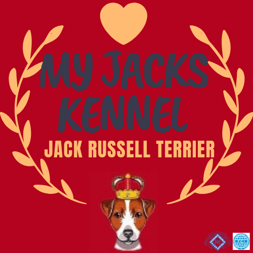 My Jacks kennel